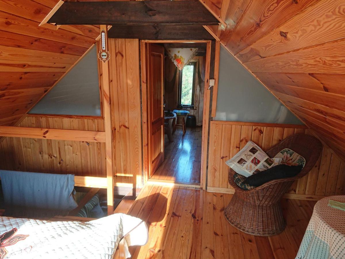 Male Mazury Apartment